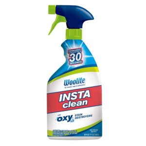Woolite INSTAclean Stain Remover - 32oz