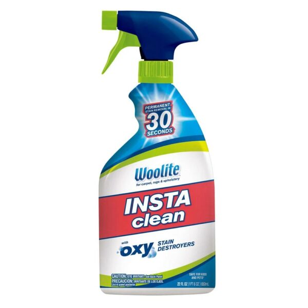 Woolite INSTAclean Stain Remover - 32oz